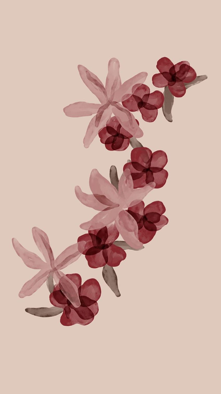 Cassi Jackson on Fun . Flower, Plants Abstract HD phone wallpaper