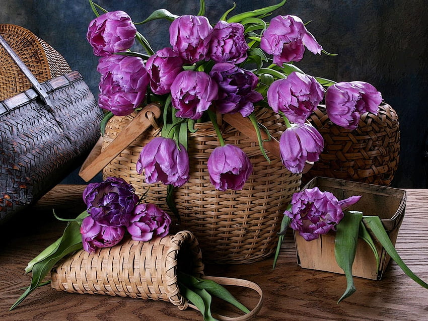 Flowers, Tulips, Basket, Weaving, Braiding, Baskets HD wallpaper