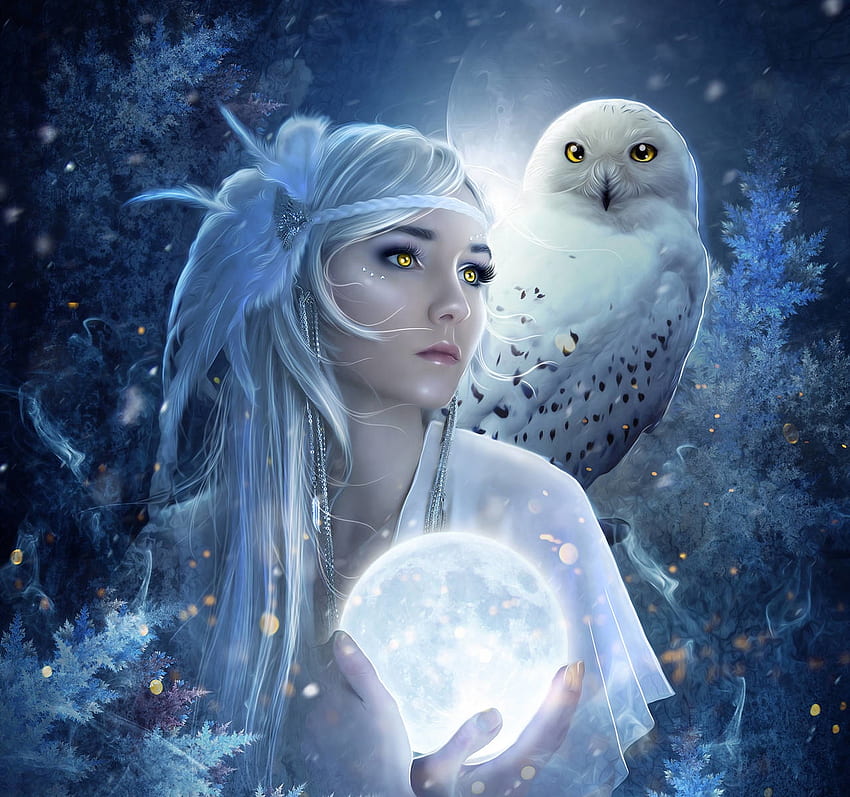 :), blue, winter, white, yellow eyes, girl, owl, hand, frostalexis, moon, fantasy, iarna, bufnita, luna, luminos HD wallpaper