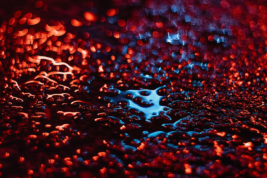 Blood-red, liquid, glare, bokeh HD wallpaper