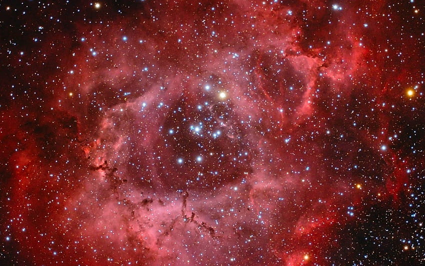 Rosette Nebula - HD wallpaper