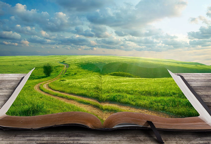 . 3D . . . road, grass, book, tree, landscape HD wallpaper