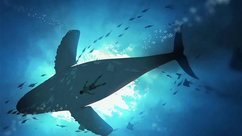 クジラと海のアニメーション、海のクジラ 高画質の壁紙