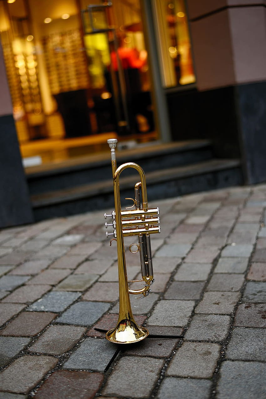 : trumpet, brass instrument, Anime Trumpet HD phone wallpaper