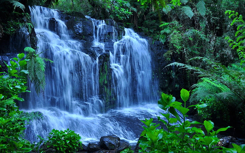 Горски водопад, падане, красиво, хубаво, лято, падащи, листа, клони, водопад, дървета, зеленина, природа, вода, прекрасен, гора, поток HD тапет