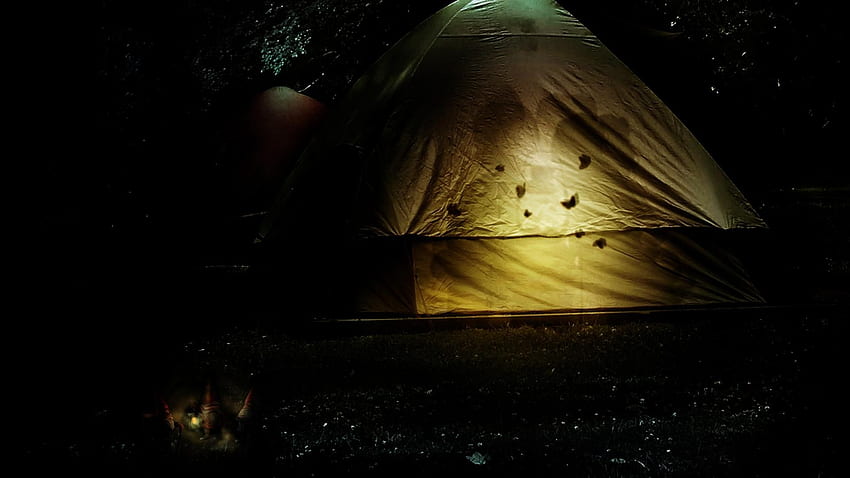 Windows 10 Camping, Tent HD wallpaper