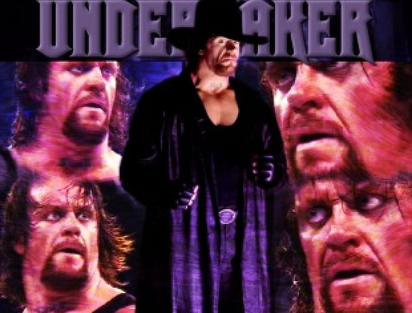 Undertaker 6 อื่นๆ คน มวยปล้ำ wwf วอลล์เปเปอร์ HD