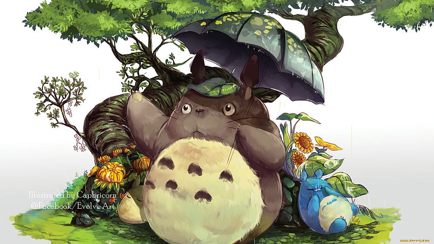 Komşum Totoro, Totoro Anime HD duvar kağıdı