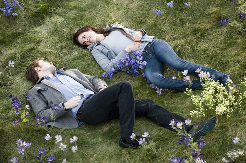 Twilight, meadow, flowers, fantasy HD wallpaper