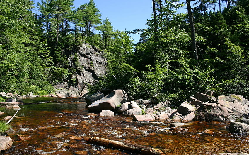 Black Brook, Nova Scotia, creek, trees, sky, mountains, rocks, canada, stones HD wallpaper