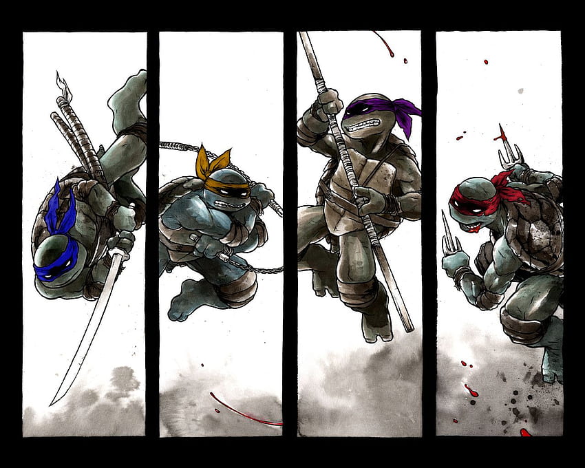 Teenage Mutant Ninja Turtles, Ninja Hyper HD wallpaper