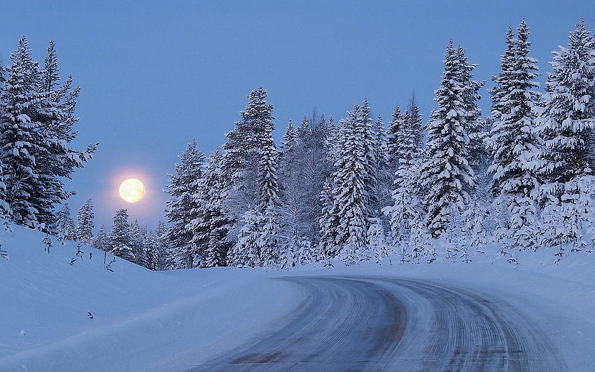 Nature, Trees, Sky, Night, Snow, Road, Forest, Full Moon, Climb, Lift HD wallpaper