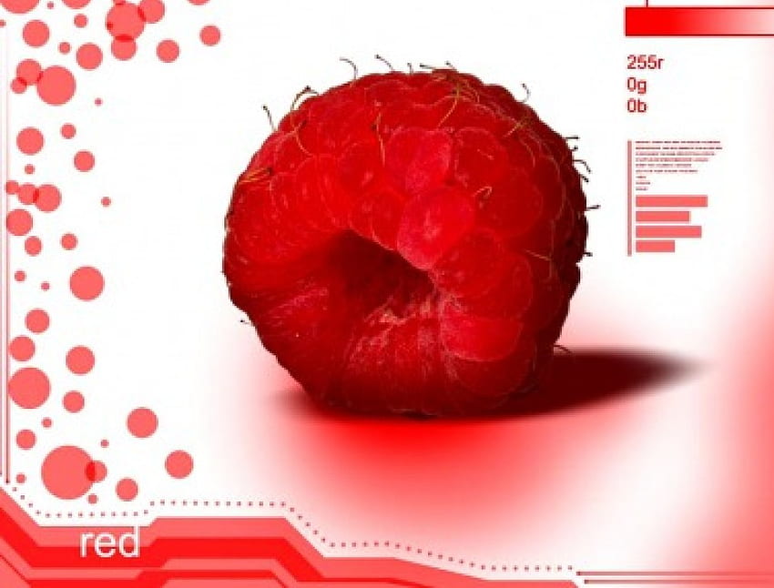 ราสเบอร์รี่ ผลไม้ สีแดง วอลล์เปเปอร์ HD