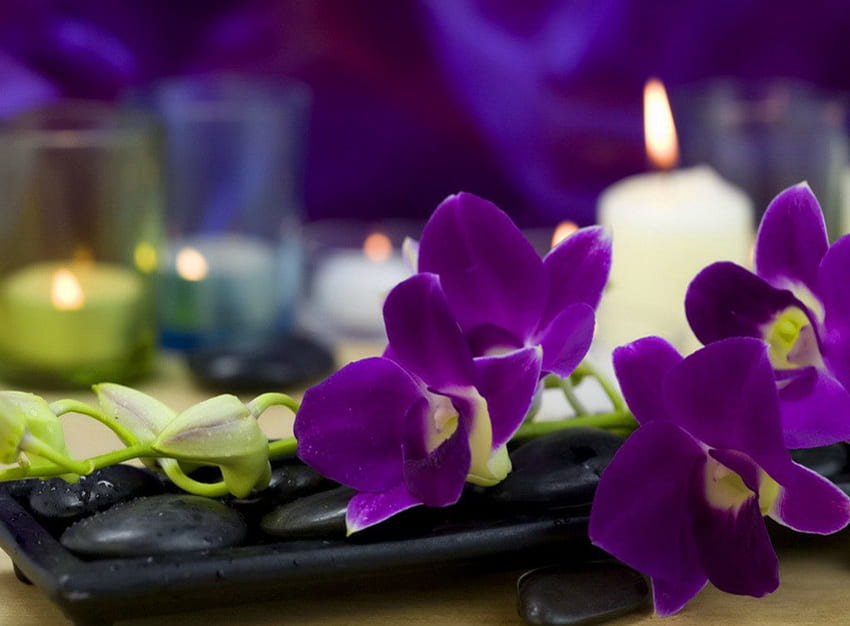 Heavenly scent, relax, nice, delicate, fragrant, paradise, flame, beautiful, still life, rest, candle, pretty, violet, heaven, treatment, spa, scent, flowers, lovely HD wallpaper