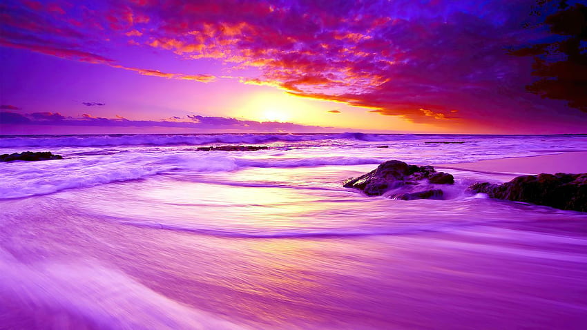 Purple Beach Sunset Resolution, Nature Purple HD wallpaper
