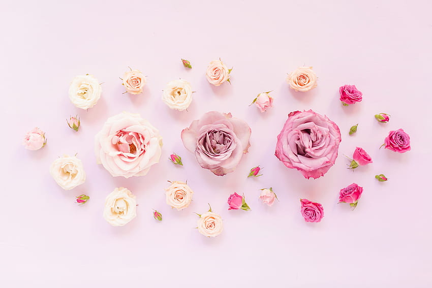 DIGITAL BLOOMS MARCH 2020., Pastel Flowers HD wallpaper | Pxfuel