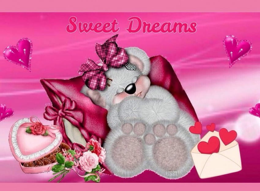 Teddy Bear Sweet Dreams, Dreams, Bear, Pink, Teddy HD wallpaper
