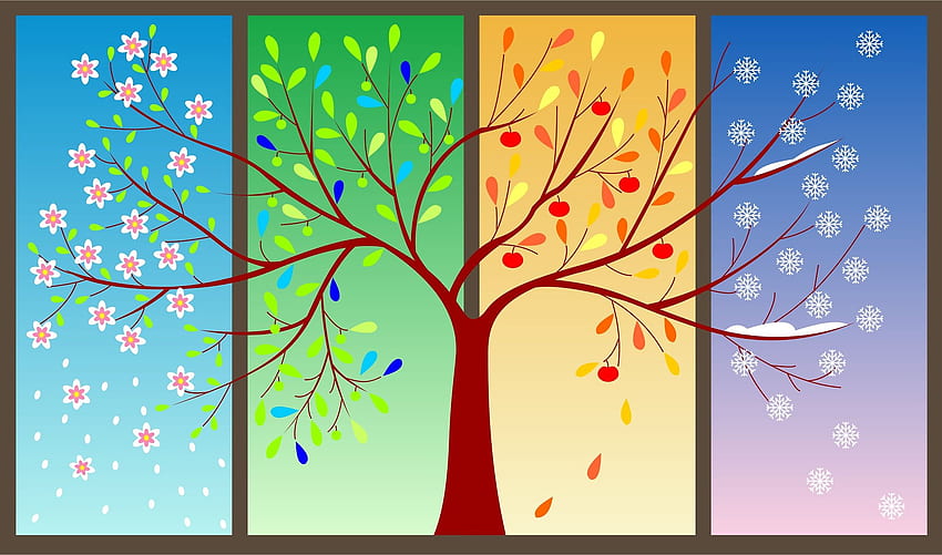 สต็อกของ Four Seasons ฤดูร้อน ต้นไม้ 4 Seasons วอลล์เปเปอร์ HD