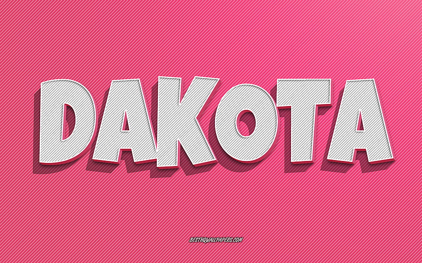 Dakota, fond de lignes roses, avec noms, nom Dakota, noms féminins, carte de voeux Dakota, dessin au trait, avec nom Dakota Fond d'écran HD