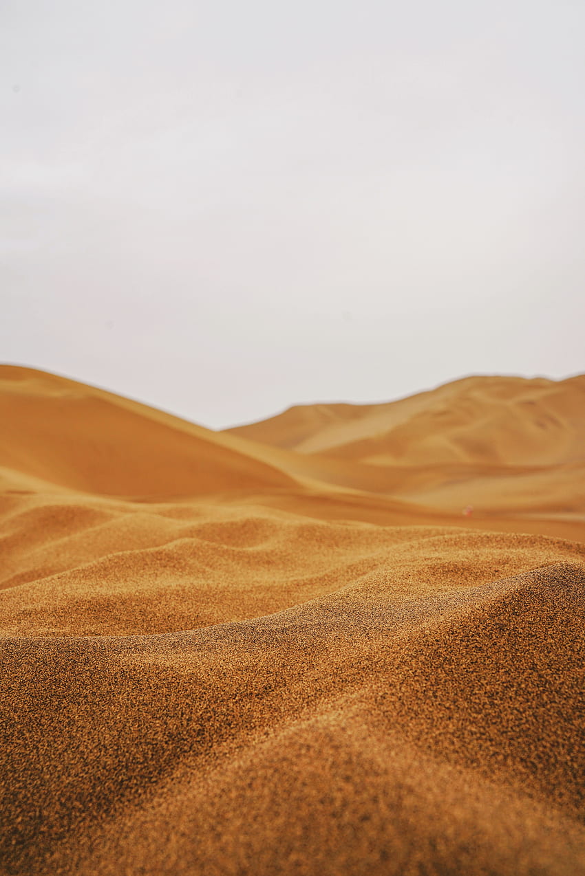 Nature, Sand, Desert, Dunes, Links, Hilly HD phone wallpaper