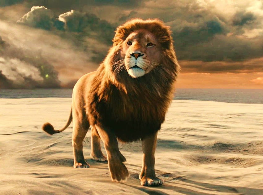 result for aslan roaring. Ausgestopftes tier, Narnia, Super HD wallpaper