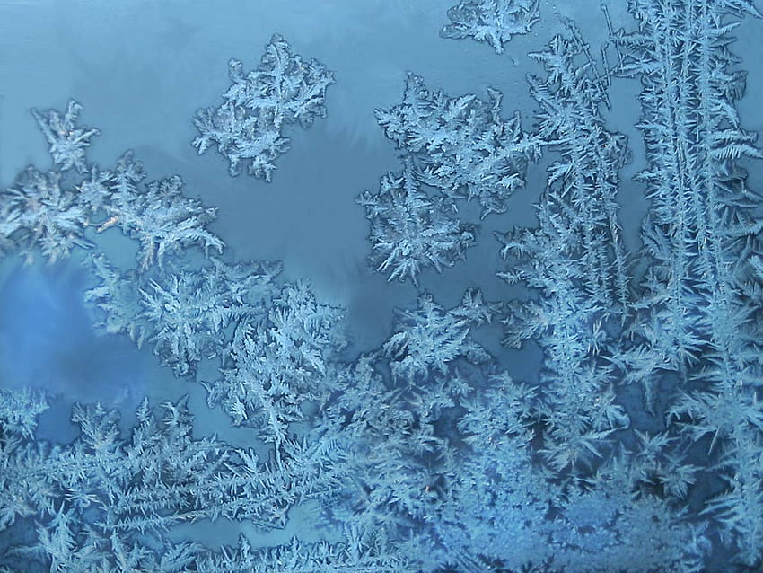 Замръзнала зима, зима, синьо, замръзнало, лед HD тапет