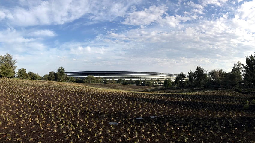 Jaki jest Apple Park: pierwsze wrażenia z nowego kampusu Apple (AAPL) Tapeta HD