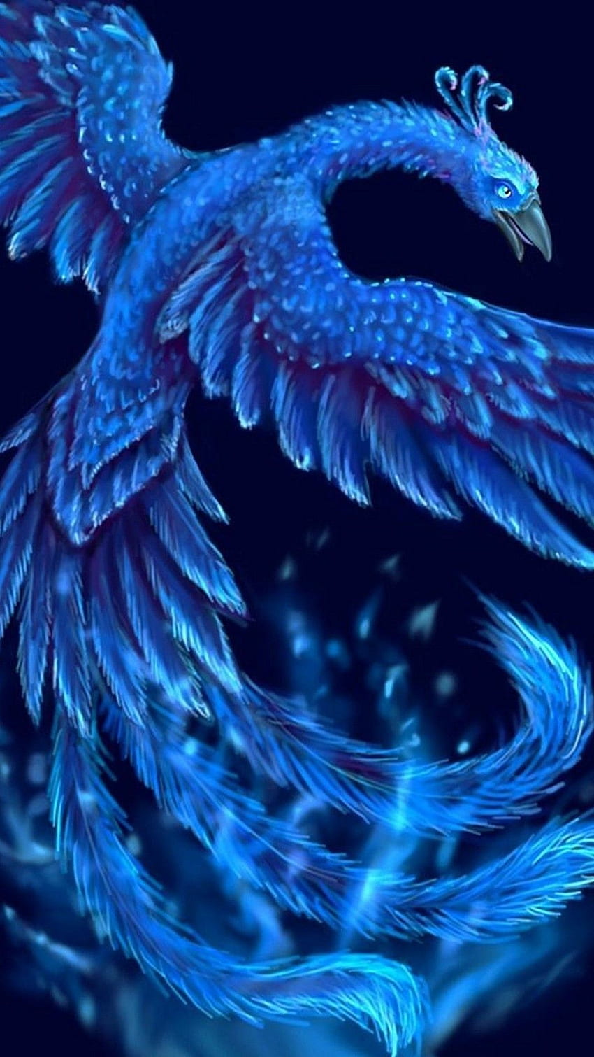 Blue phoenix HD wallpapers | Pxfuel
