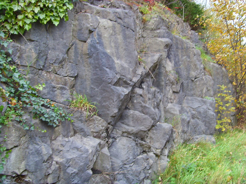 Formazione rocciosa naturale, Peak District, parte della foresta, colore, roccia Sfondo HD