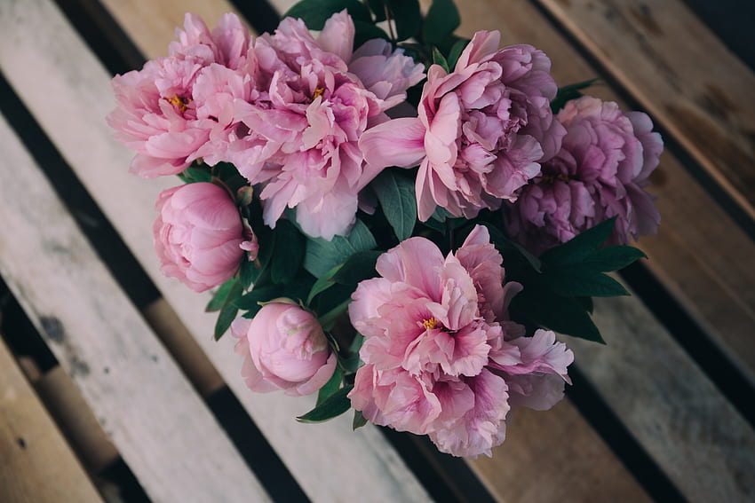 Flowers, Pink, Peonies, Bouquet HD wallpaper