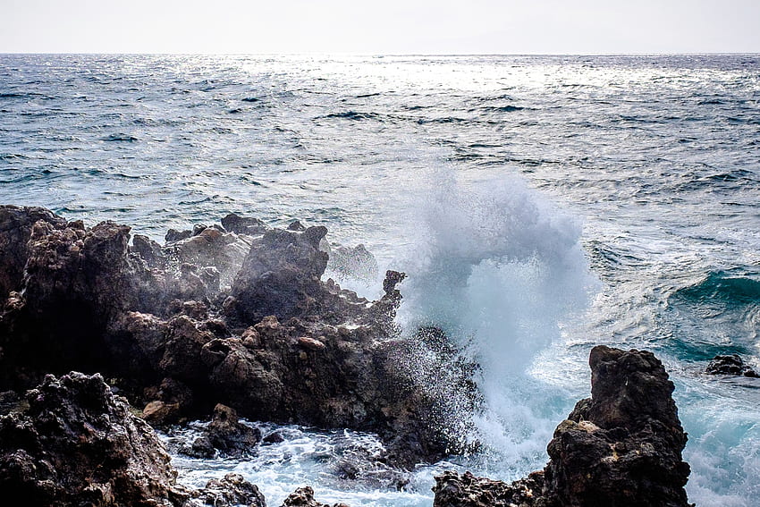 海, 自然, 石, 波, サーフィン 高画質の壁紙