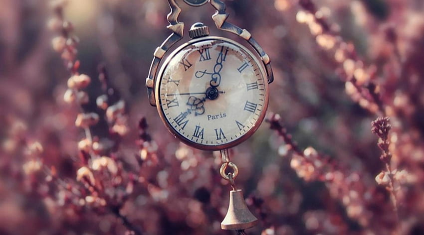 Въпрос на време, фон, стар, време, висящ, часовник, цветя HD тапет