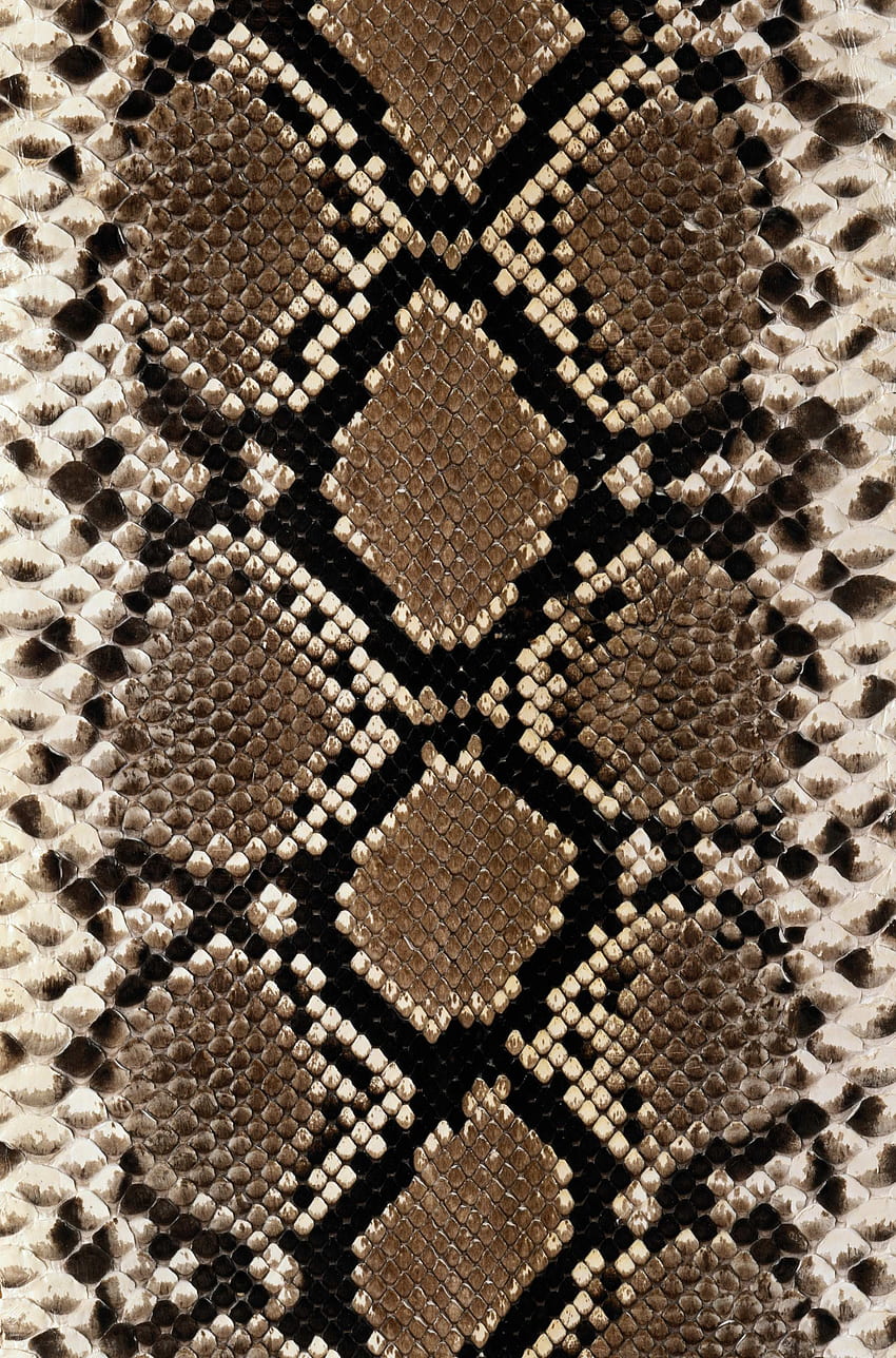 python. Design - Animal Print. Texture, Snake skin, Snake Skin Pattern HD phone wallpaper