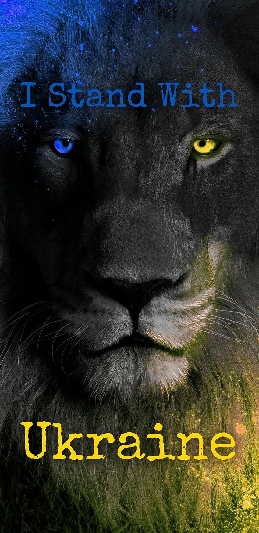 Estoy con Ucrania, grande, azul, amarillo, gato, león fondo de pantalla del teléfono