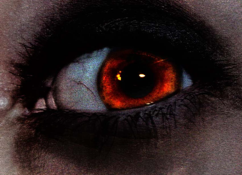 Grunge, scary, spooky, creepy, frightening, look out, bloodshot, shhhh, eye HD wallpaper