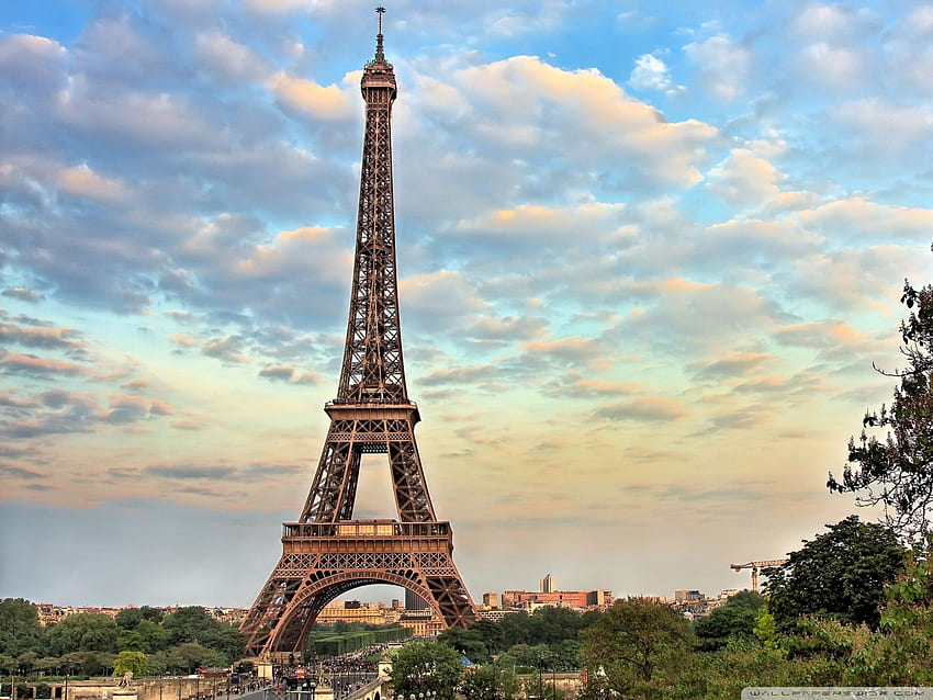 Eiffel tower, france, paris, HD phone wallpaper | Peakpx