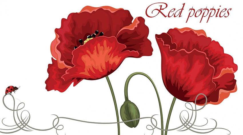 Red Poppies, wild flowers, ladybug, buds, spring, lady bug, summer, poppies, script, poppy, red, flowers HD wallpaper