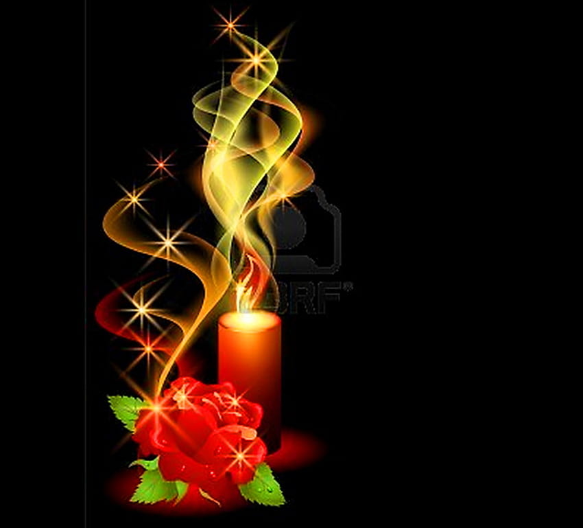 Light and Love of friendship, rose, candle, christmas, green, red, flame, gold HD wallpaper