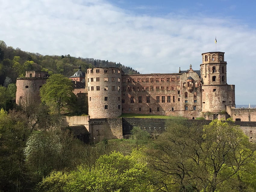 Zamki i fortyfikacje, zamek w Heidelbergu Tapeta HD
