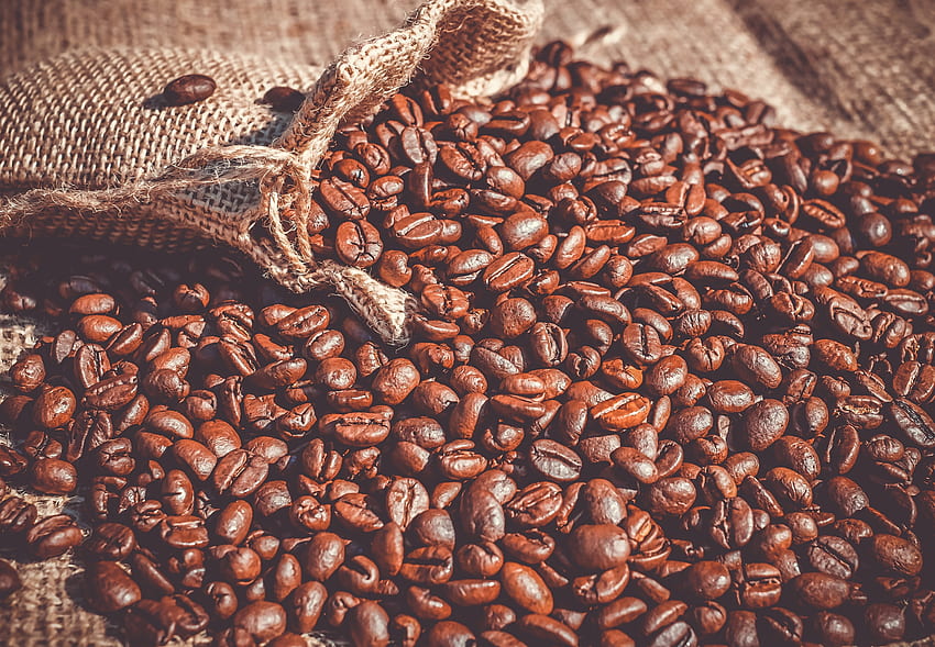 Coffee beans, roasted HD wallpaper