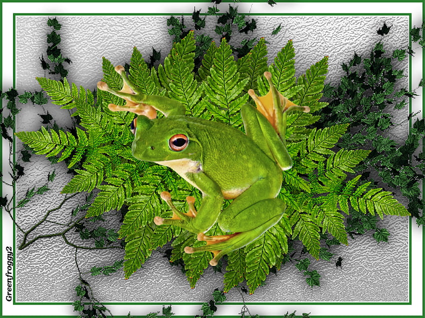 FROG ON FERNS, ART, FROG, ABSTRACT, FERNS HD wallpaper