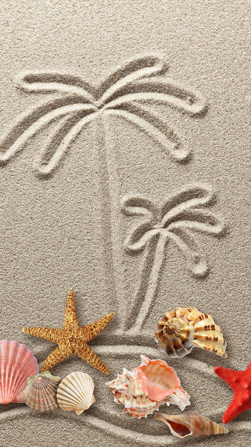 Ya llegan en poco las vacaciones!!!. Summer , Starfish drawing, iPhone, Cute Seashell HD phone wallpaper