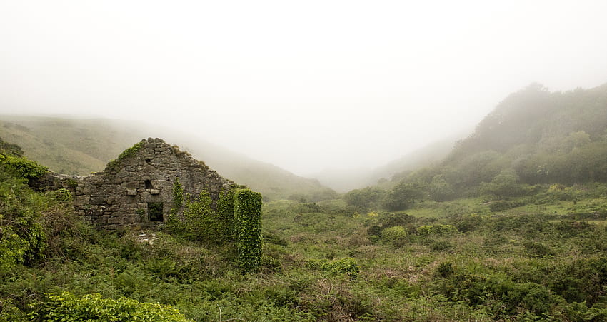 naturaleza, hierba, montañas, niebla, ruina, ruinas fondo de pantalla