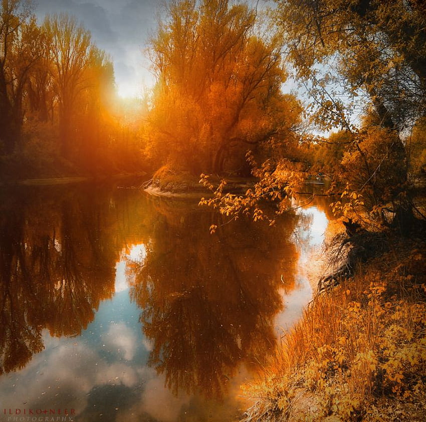 otoño mágico, mágico, árboles, otoño, naturaleza, lago, reflejos, puesta de sol fondo de pantalla