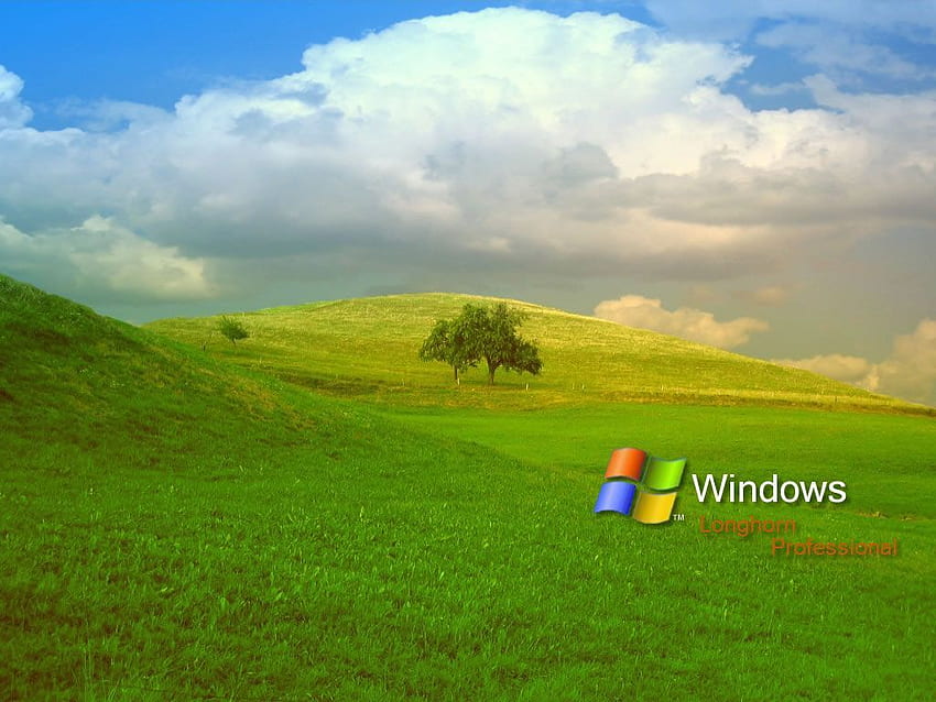 MLP Microsoft Windows XP Bliss Know Your Meme 高画質の壁紙