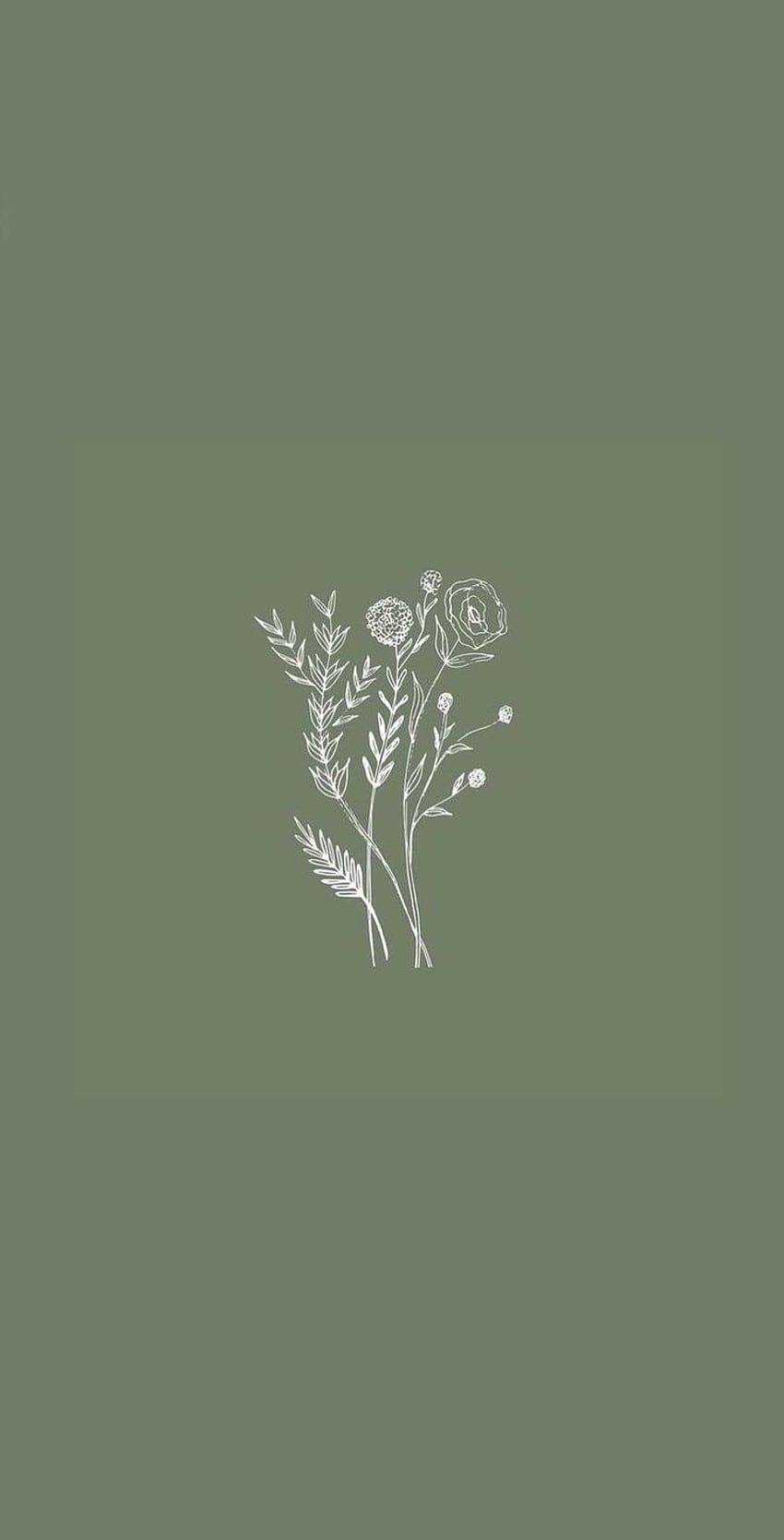 Flower illustrations. Aesthetic iphone , iPhone, Sage Green Aesthetic HD phone wallpaper