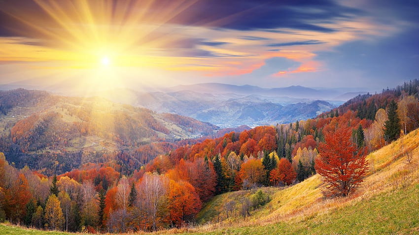 automne, , , , arbres, aube, mont, coloriage (horizontal). Nature , Lever du soleil , Belle nature Fond d'écran HD