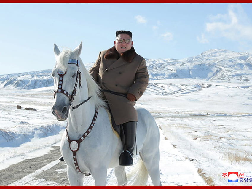 O cavalo bobo de Kim Jong Un contém uma mensagem séria, Winter Horse papel de parede HD