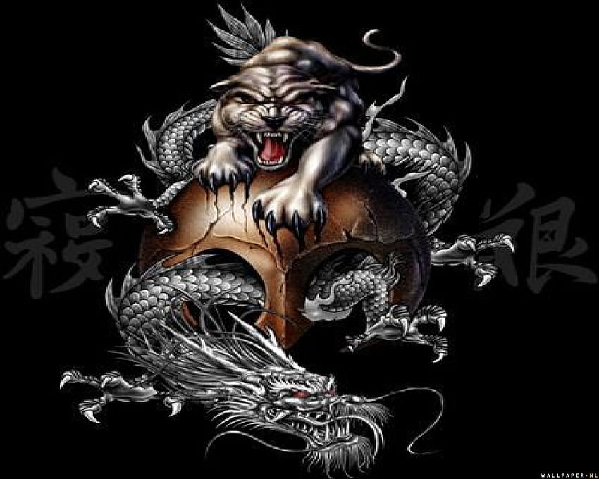 Yin Yang Dragon And Tiger Tattoo Sample - 1. Black belt, Japanese Dragon Tattoo HD wallpaper