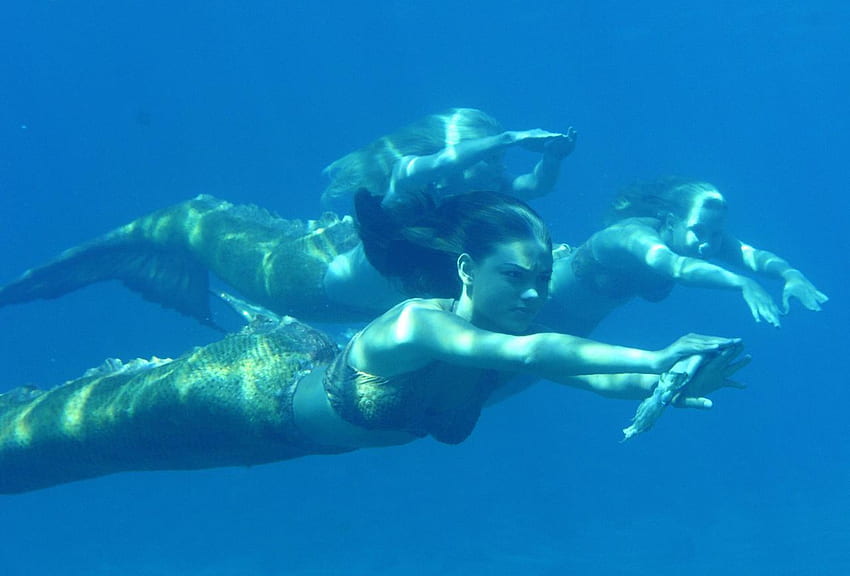 Mermaids the Body Found, Real Mermaid HD wallpaper